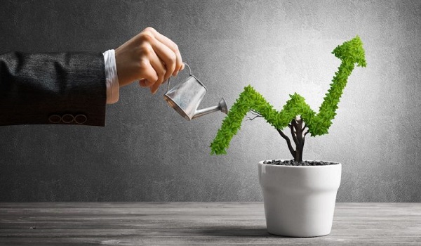 Prestige Southern Star Investment